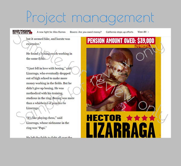 Sample of project management showing a boxer story with design